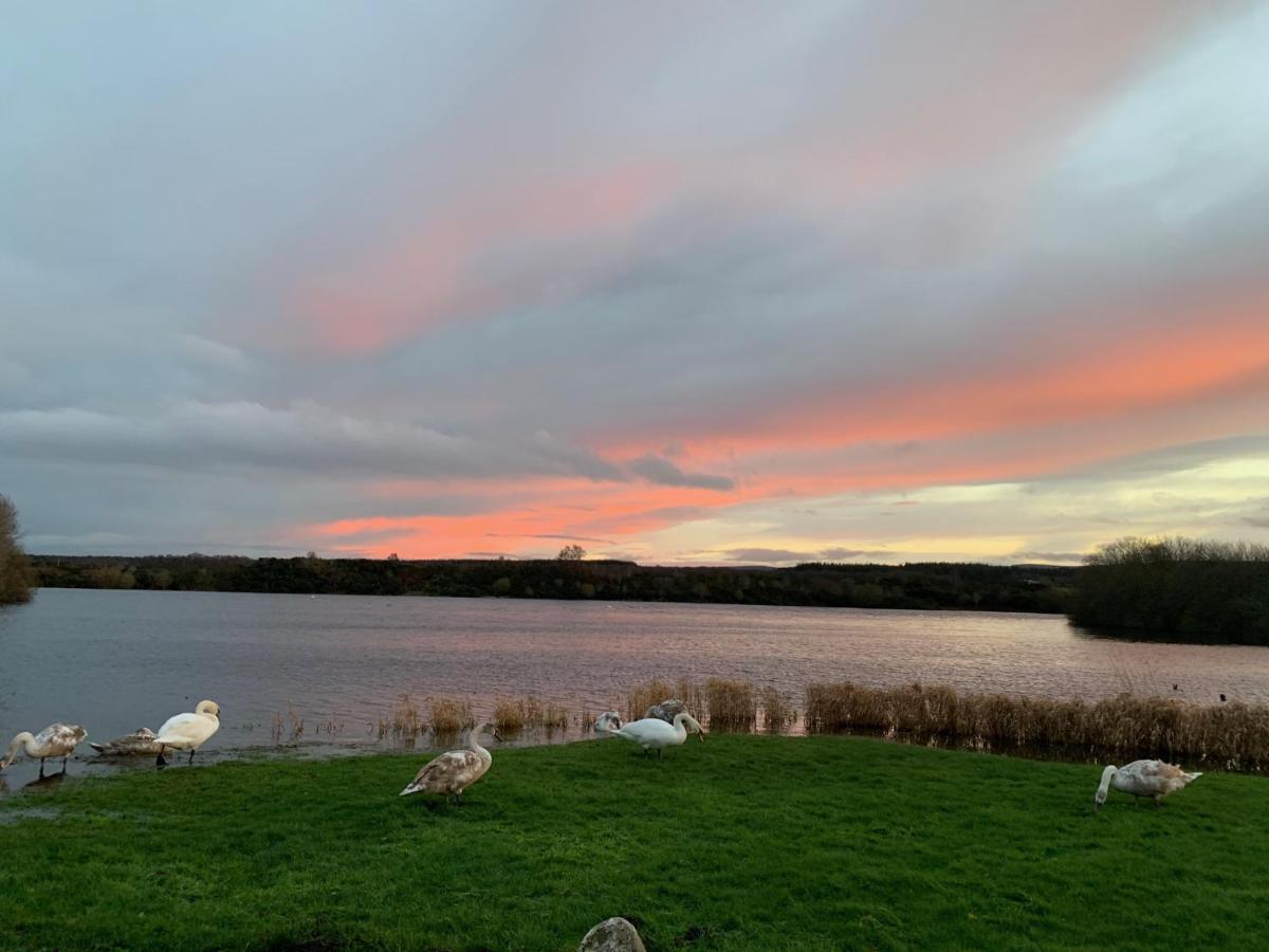 Lochside Loft - Self Catering Apartment For 2 In A Great Location For Inverness Airport And Both Cabot Highlands & Nairn Golf Courses Ngoại thất bức ảnh